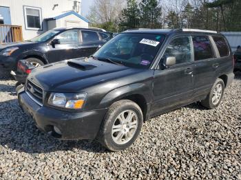  Salvage Subaru Forester