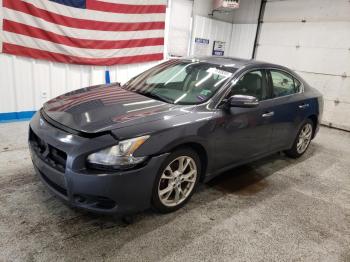  Salvage Nissan Maxima