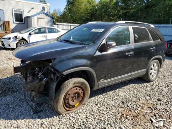  Salvage Kia Sorento