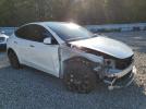 Tesla Model Y Image 4