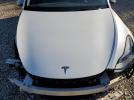 Tesla Model Y Image 7