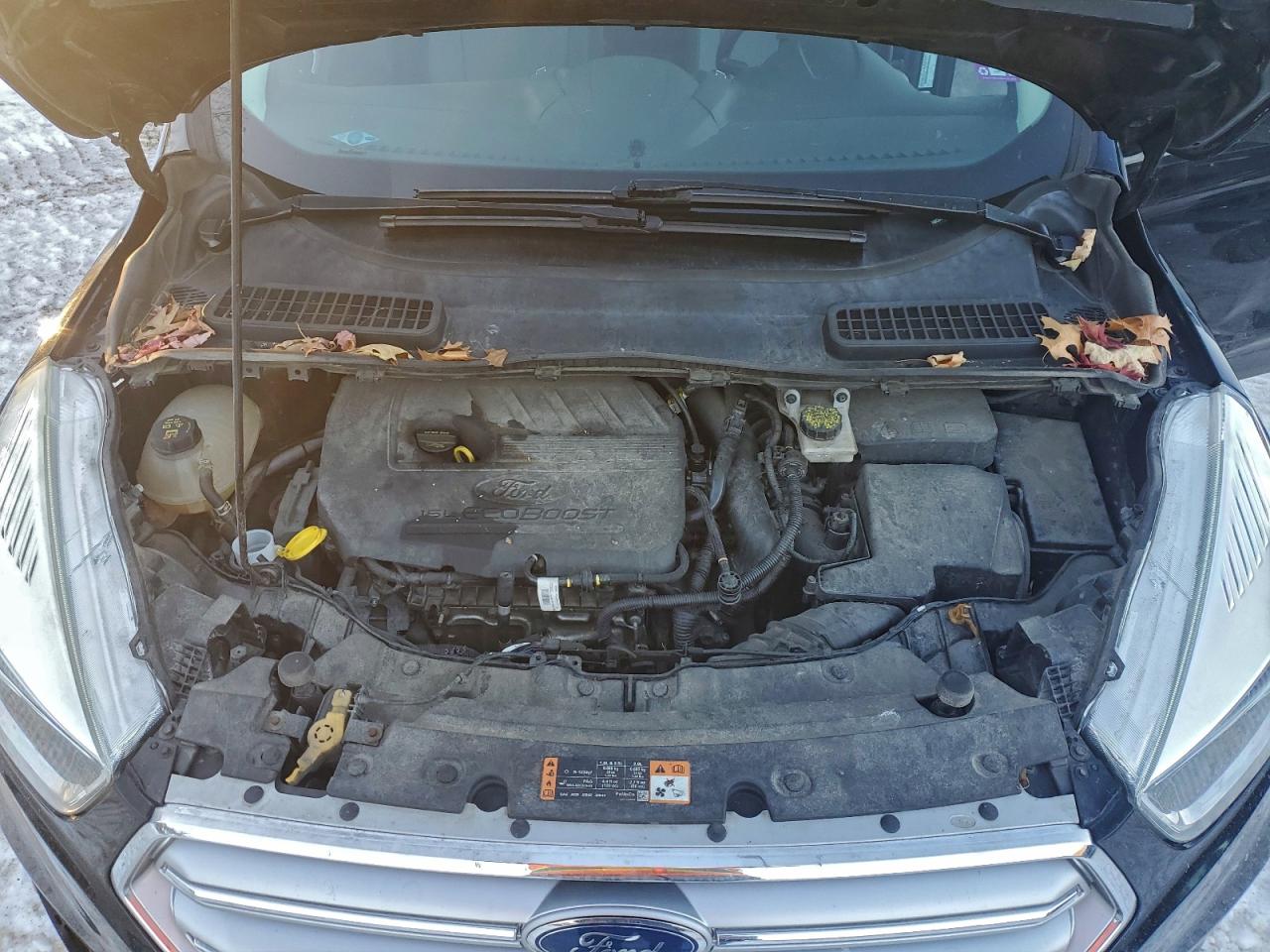 Ford Escape Se Image 13