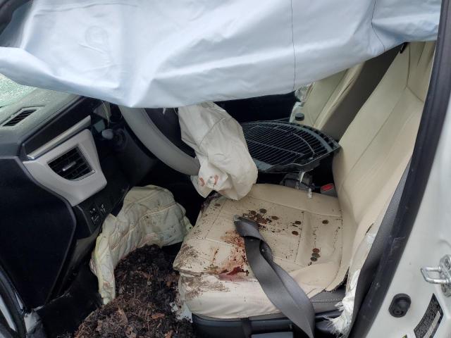 Toyota Corolla L Image 6