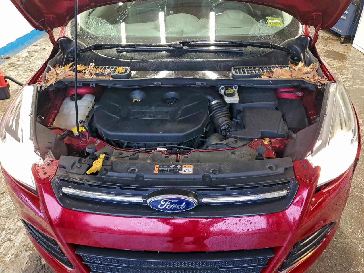 Ford Escape Se Image 8