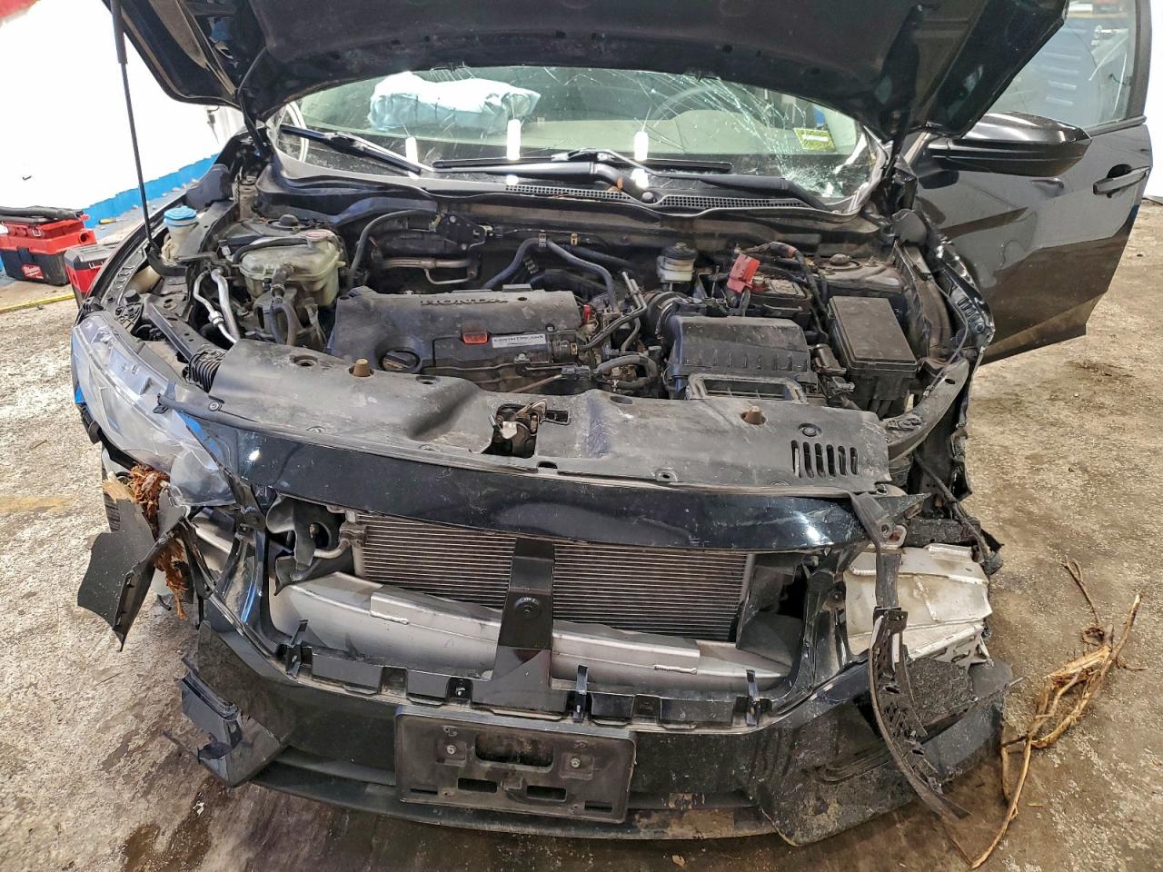 Honda Civic Lx Image 12