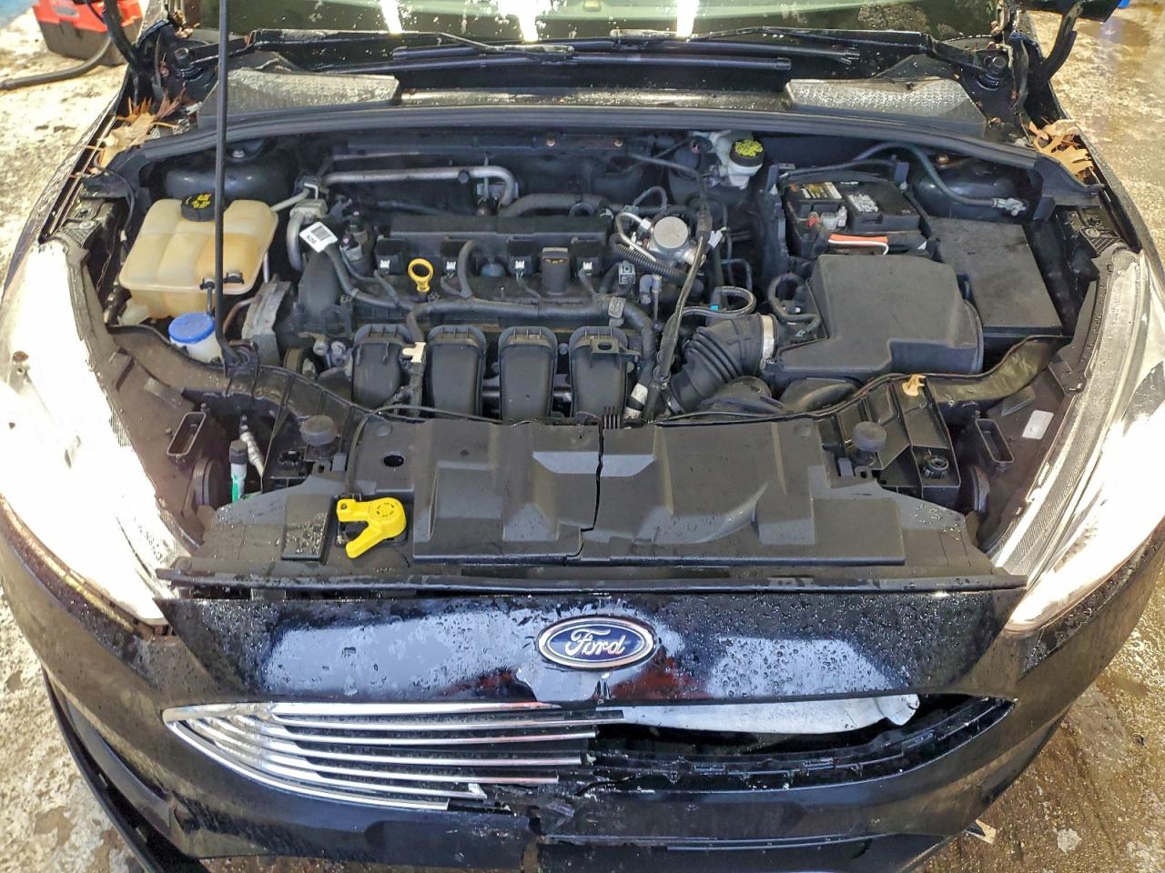 Ford Focus Se Image 6